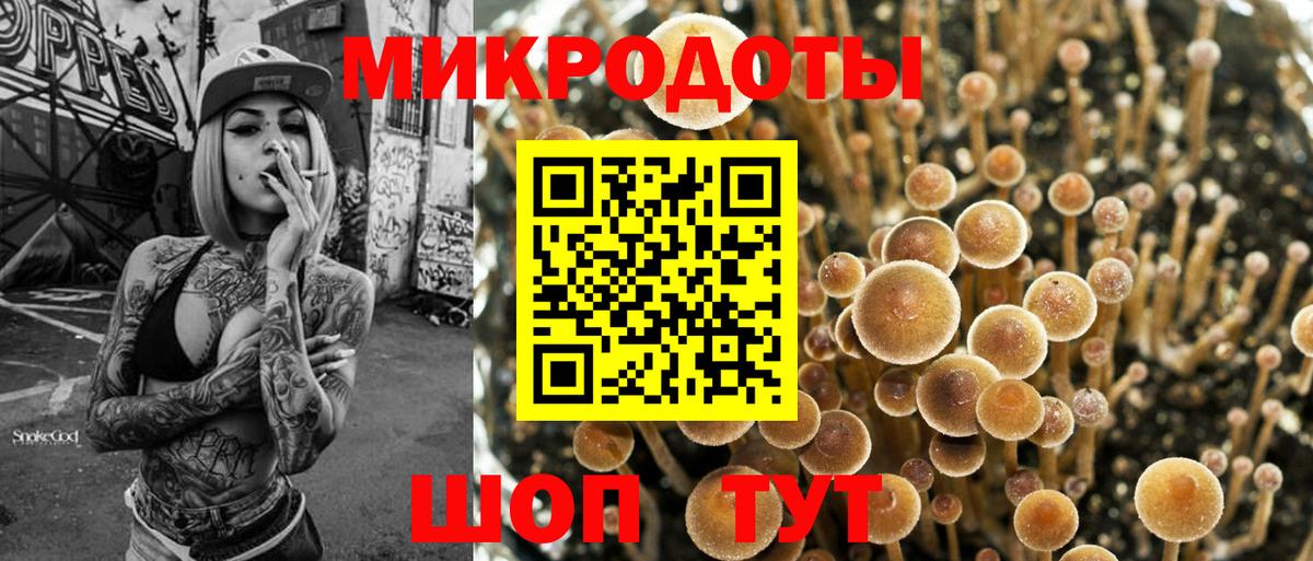 Галлюциногенные грибы Psilocybine cubensis Приморско-Ахтарск