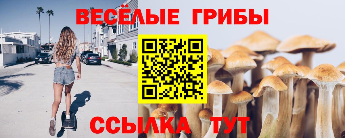 Галлюциногенные грибы Cubensis  Вход с VPN  наркошоп  Приморско-Ахтарск  Псилоцибиновые грибы MAGIC MUSHROOMS 